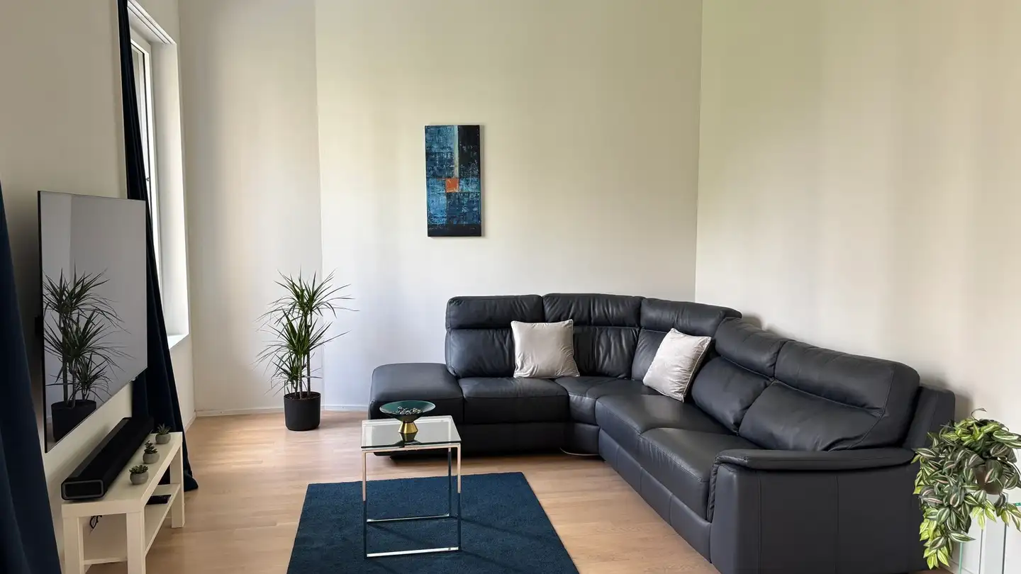 Möblierte Wohnung mieten - 4054 Basel