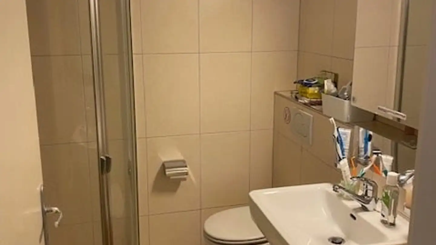 Appartamento in affitto - Holzwiesstrasse, 8704 Herrliberg - Foto 3