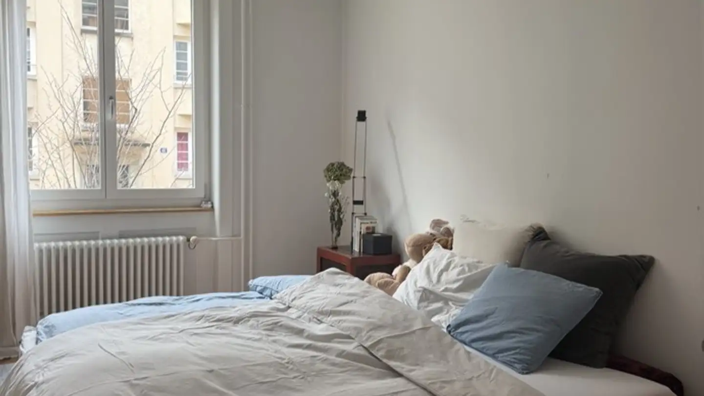 Chambre à louer - Fröbelstrasse 40, 8032 Zürich - Photo 3