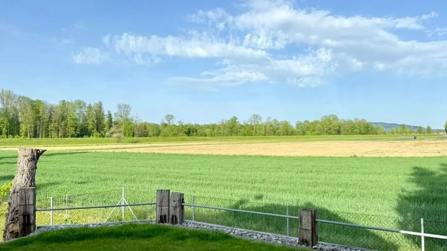 Maison individuelle à vendre - Hinterwiesen 3, 8553 Eschikofen - Photo 2