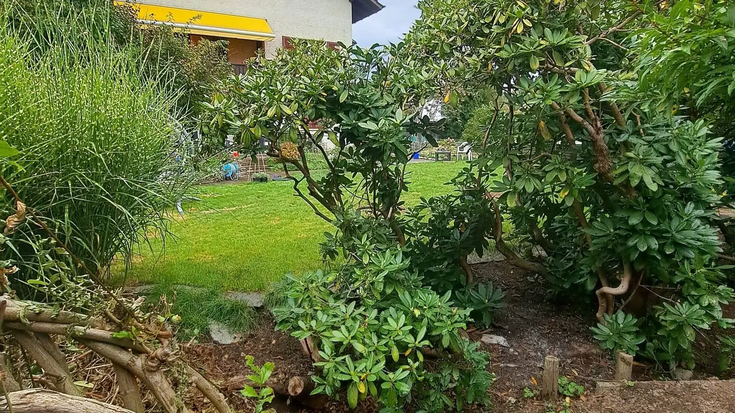 Appartement à louer - Flurweg 12, 4912 Aarwangen