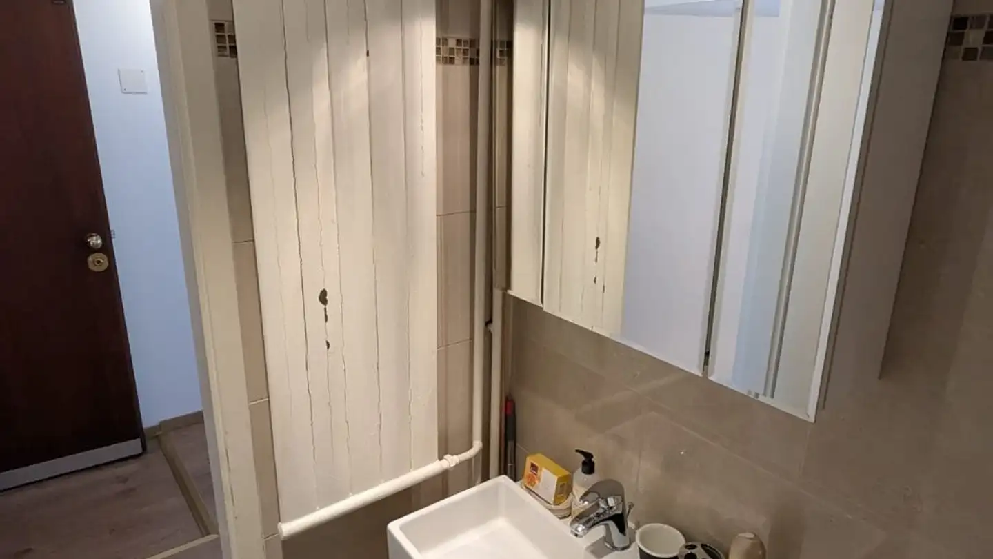 Wohnung mieten - Rue Jean-Antoine-Gautier, 1201 Genève - Foto 3