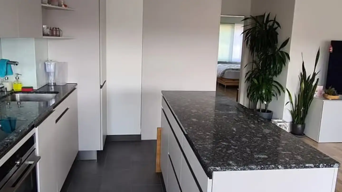 Appartamento in vendita - Risirainstrasse 11, 8903 Birmensdorf ZH - Foto 2