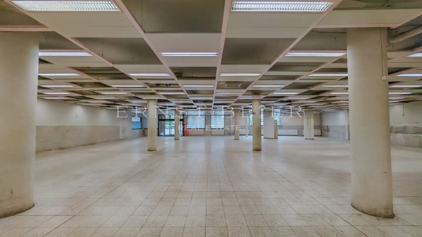 Bürofläche kaufen - 1865 Les Diablerets