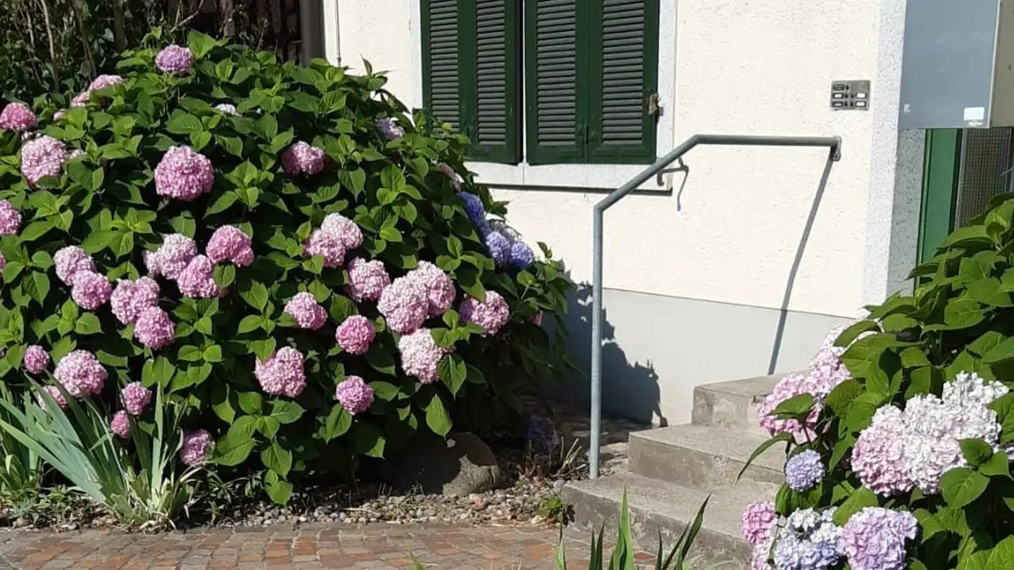 Appartamento in affitto - Märzengasse 37, 5430 Wettingen - Foto 2