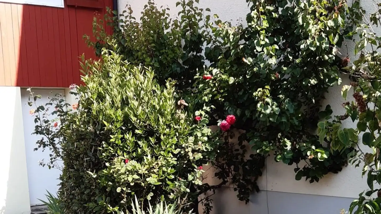 Appartamento in affitto - Märzengasse 37, 5430 Wettingen - Foto 3