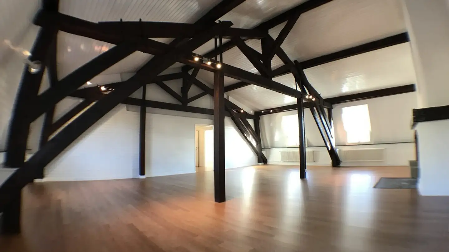 Attico in affitto - Rue Jacques- Dalphin, 1227 Carouge GE - Photo 2