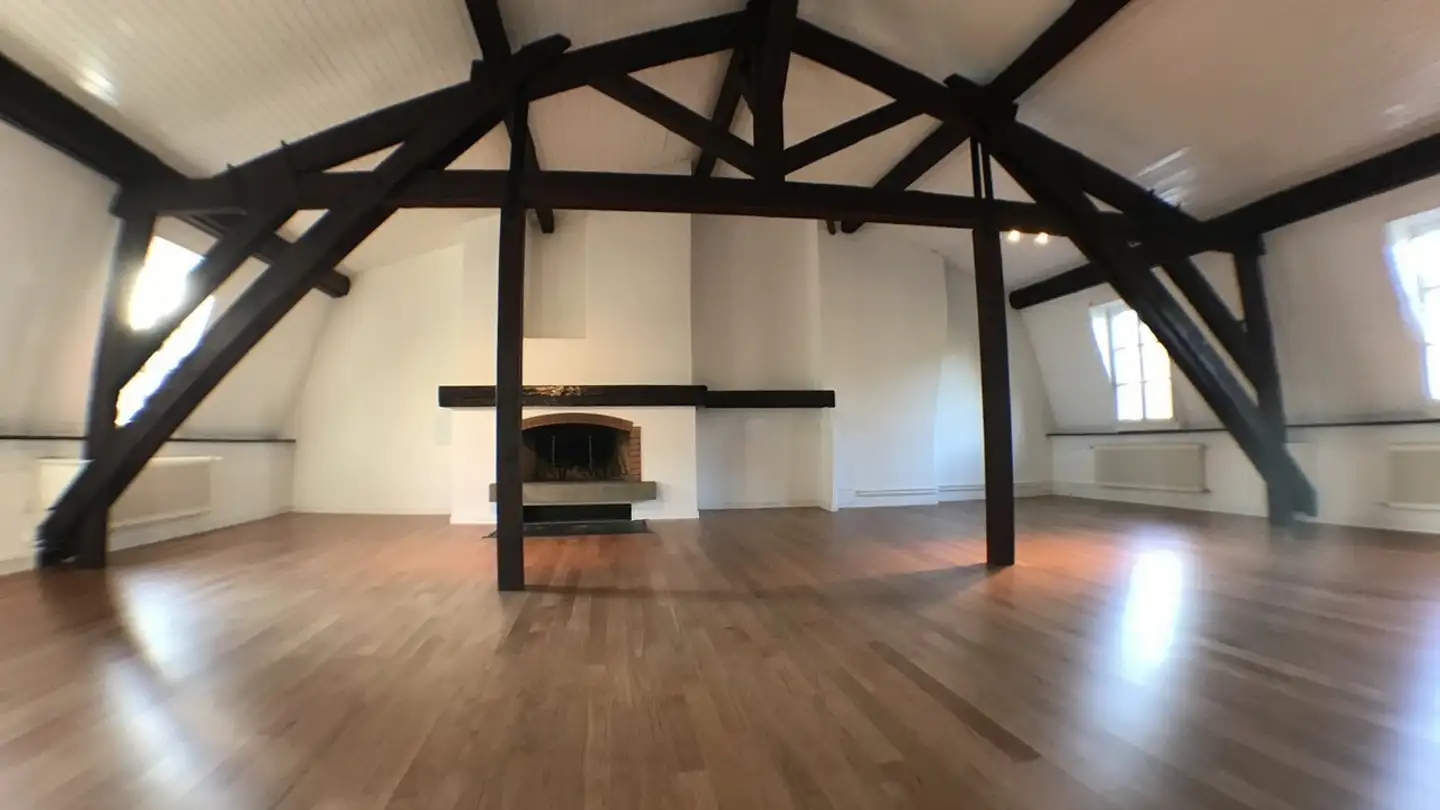 Penthouse mieten - Rue Jacques- Dalphin, 1227 Carouge GE