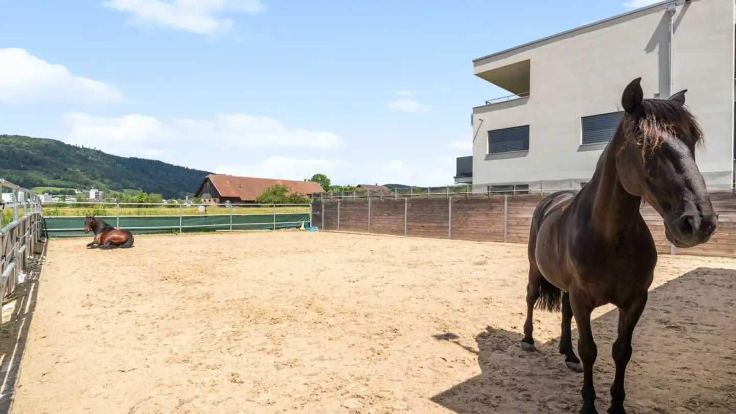 Mehrfamilienhaus kaufen - 4600 Olten