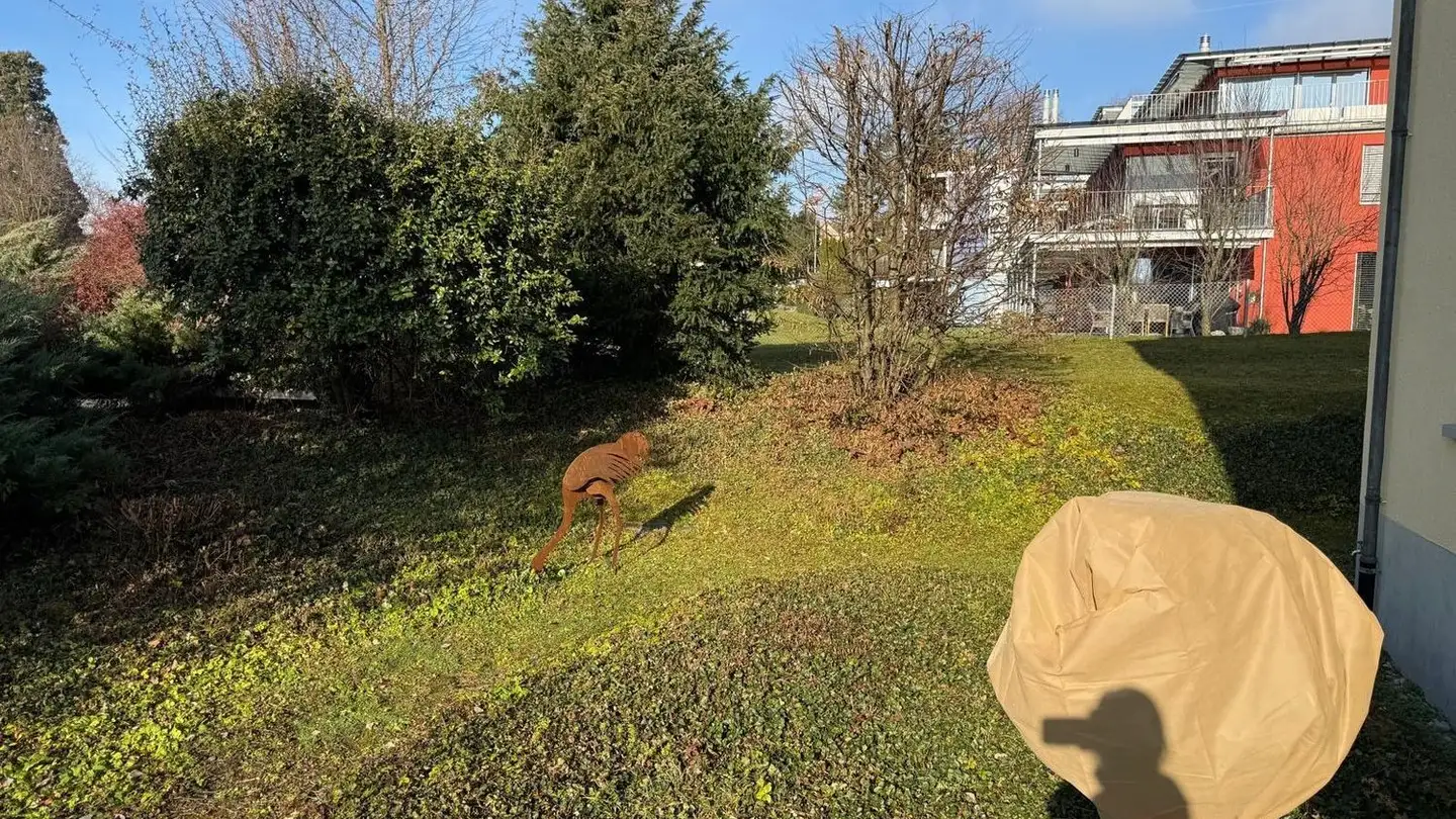 Appartement en terrasse à louer - Schiedhaldenstrasse 1, 8700 Küsnacht ZH - Photo 4