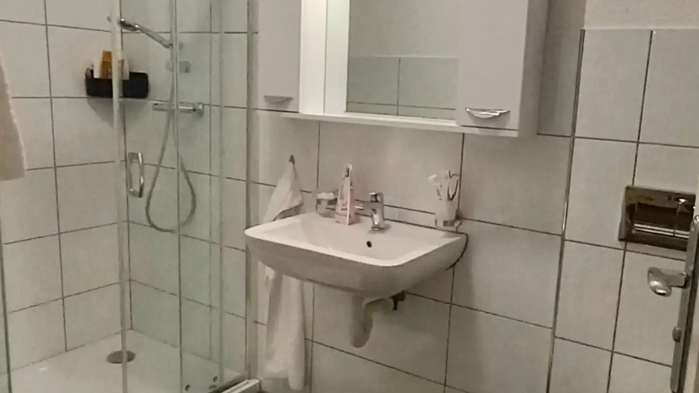 Wohnung mieten - Seetalstrasse, 5708 Birrwil