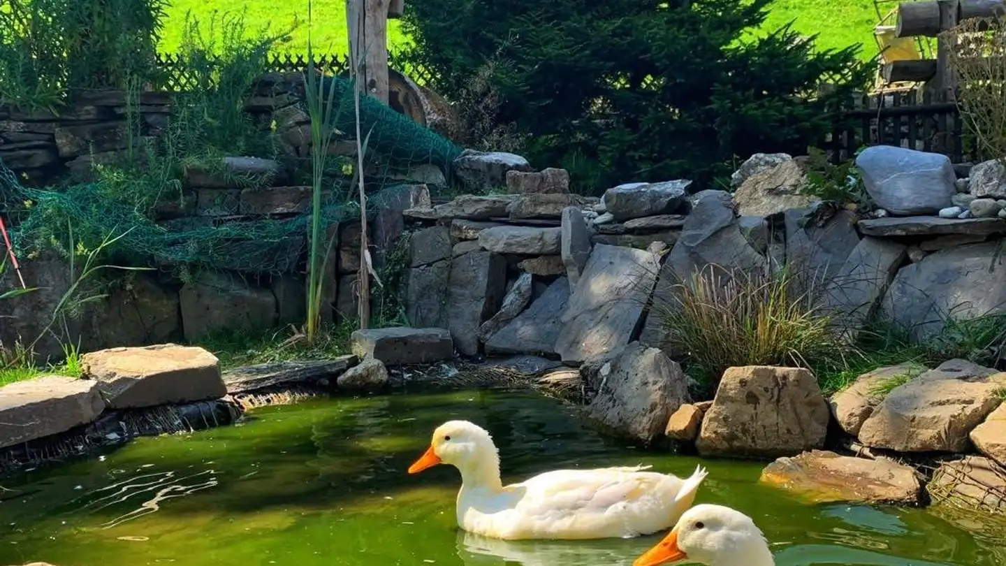 Hotel for rent - Route Du Grand Paradis 33, 1874 Champéry - Photo 4