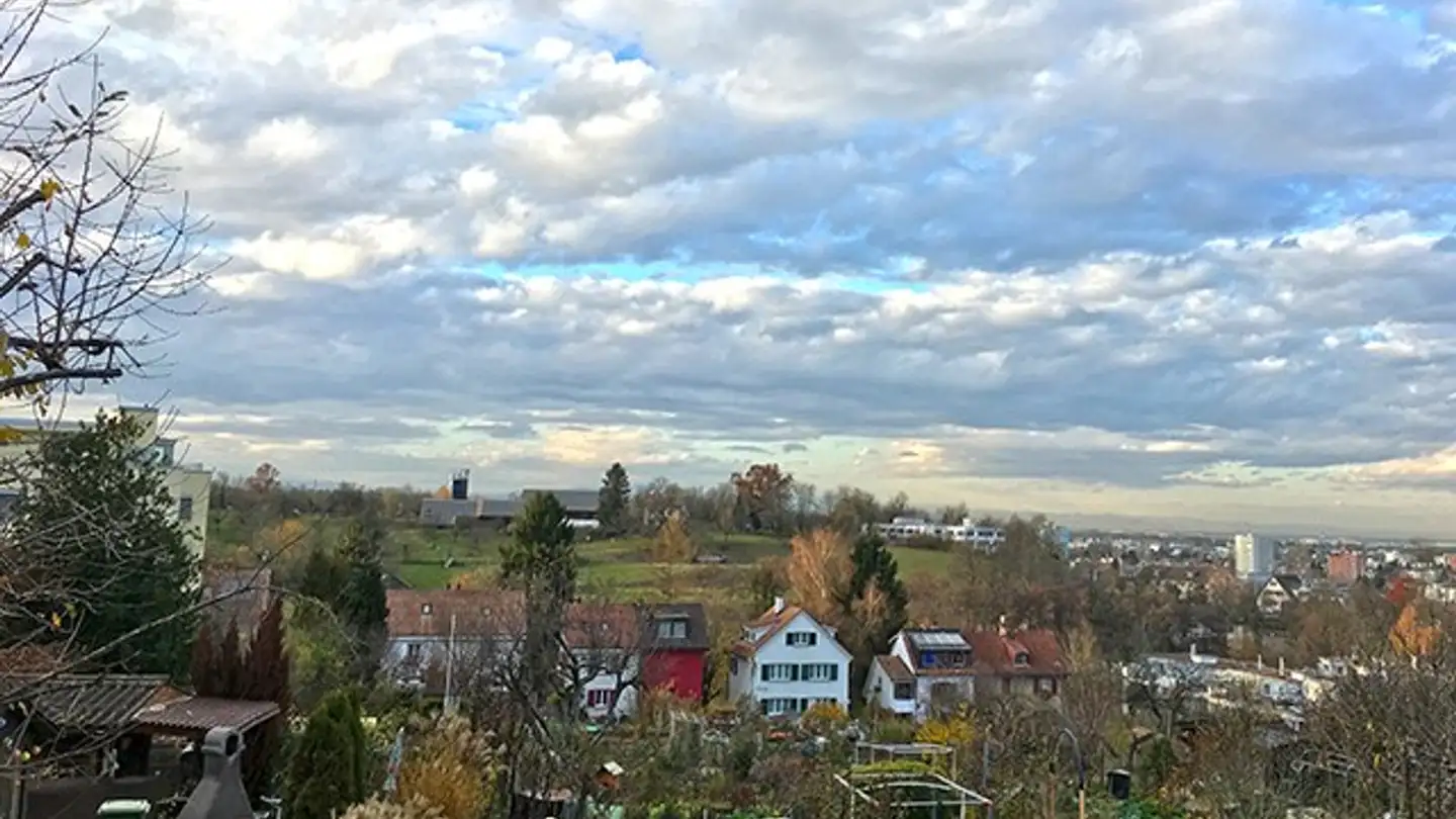 Einfamilienhaus kaufen - 4102 Binningen - Foto 4