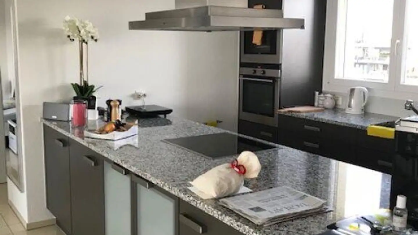 Attique à louer - Döllistrasse 29, 8592 Uttwil - Photo 4