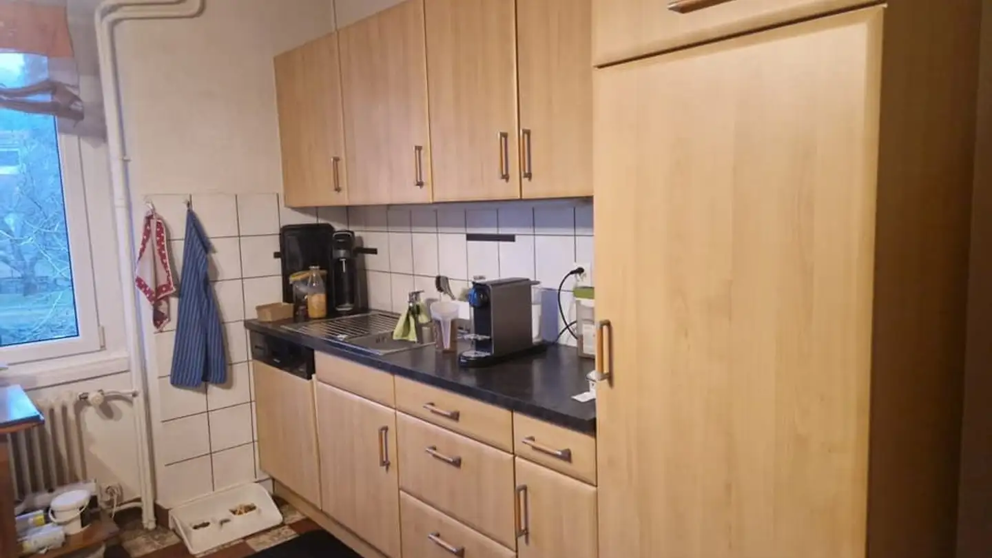 Wohnung mieten - Route De La Teinture 3, 1880 Bex