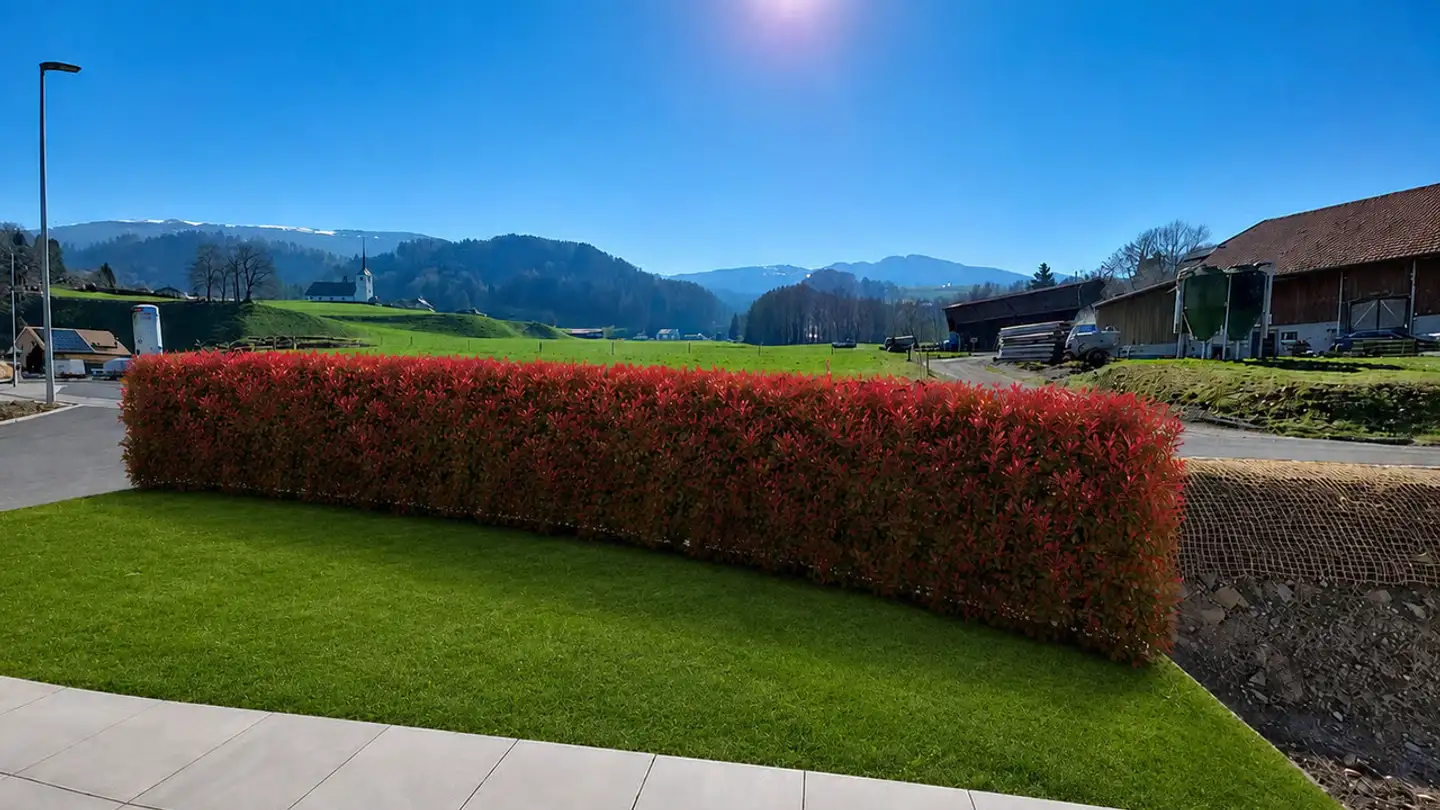 Single house for sale - Impasse Du Bas Du Steckel 1, 1634 La Roche FR