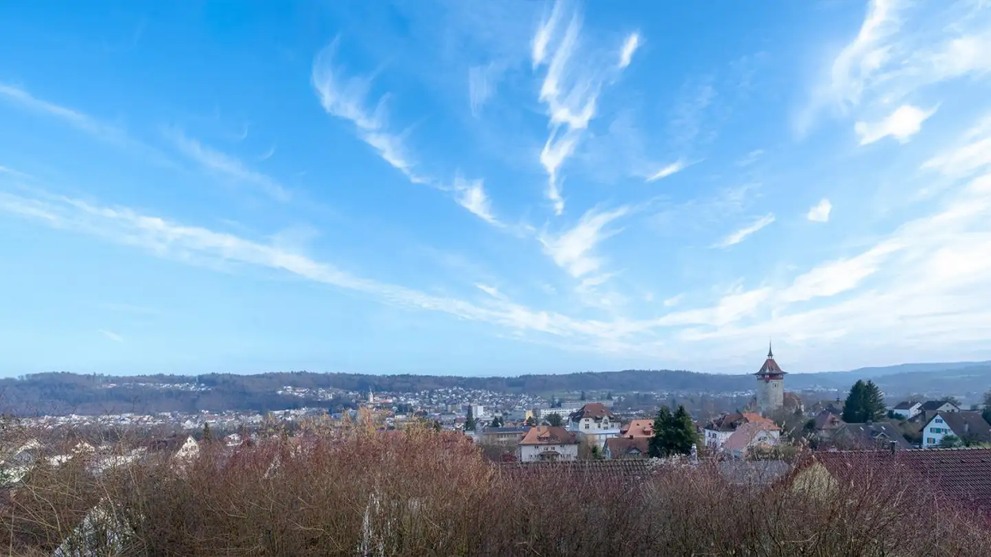 Einfamilienhaus kaufen - Stiftsherrenstrasse 39, 5013 Niedergösgen