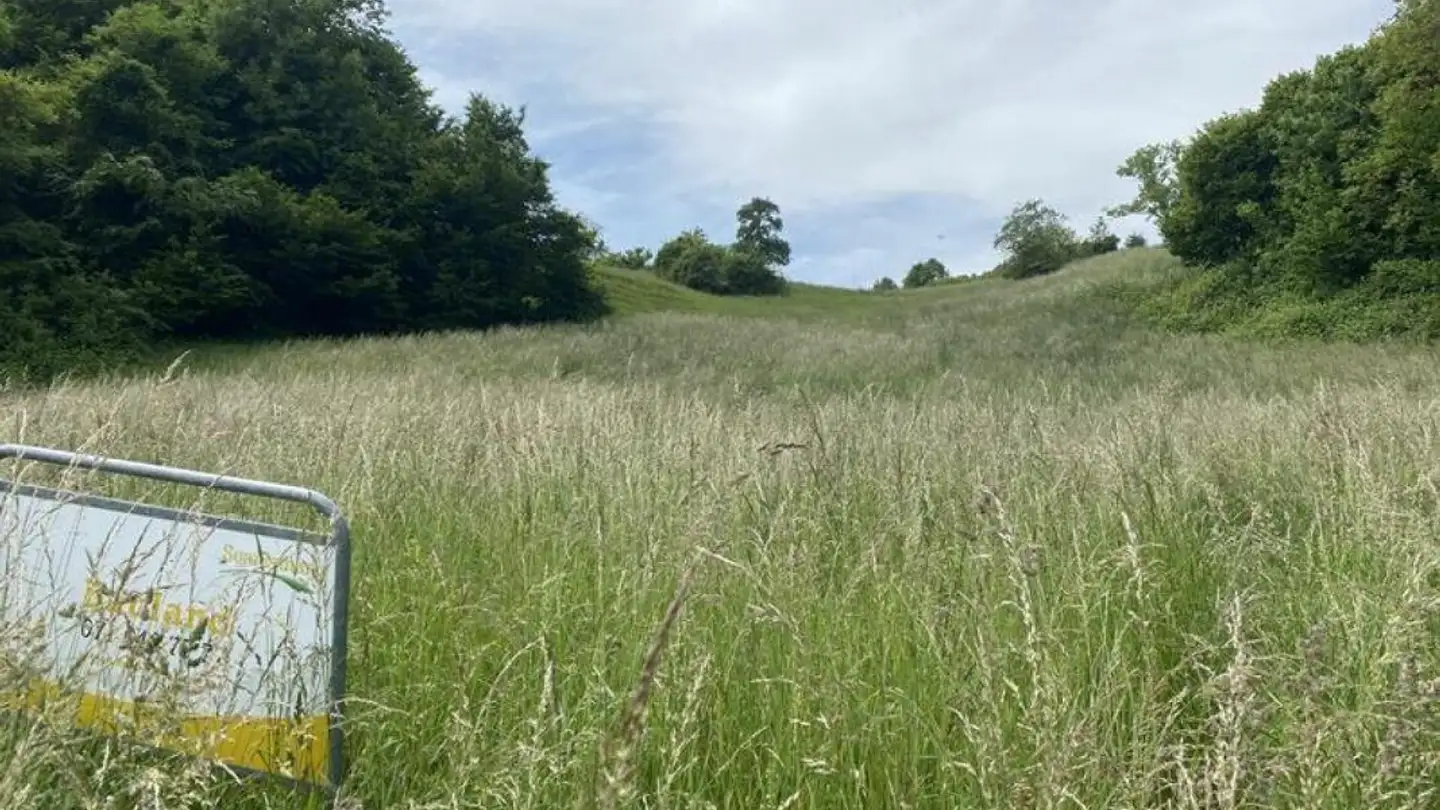 Terrain constructible à vendre - Steig, 8535 Herdern - Photo 3