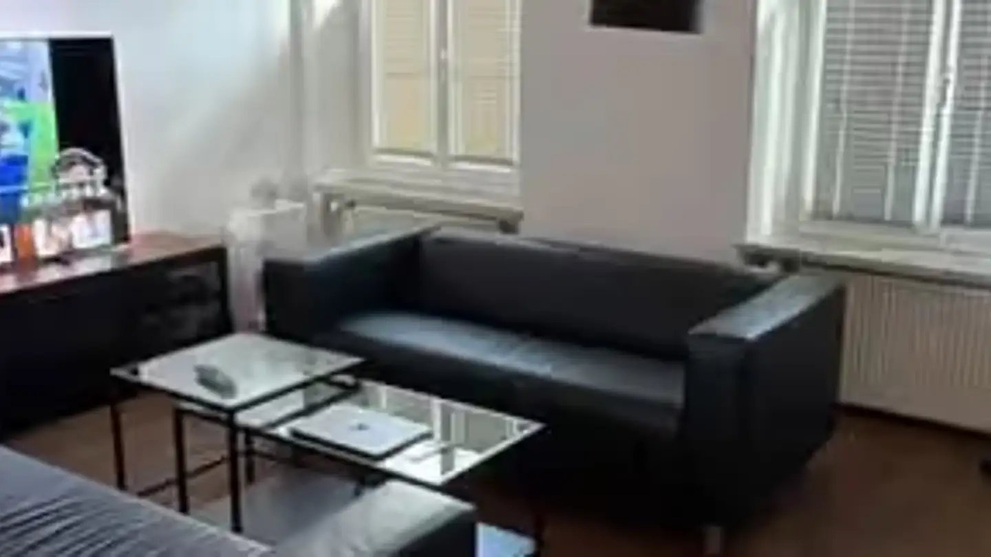 Duplex for rent - Kirchgasse 15, 4303 Kaiseraugst - Photo 2