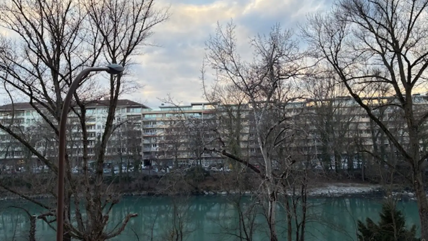 Appartement à vendre - Quai Charles- Page, 1205 Genève - Photo 2