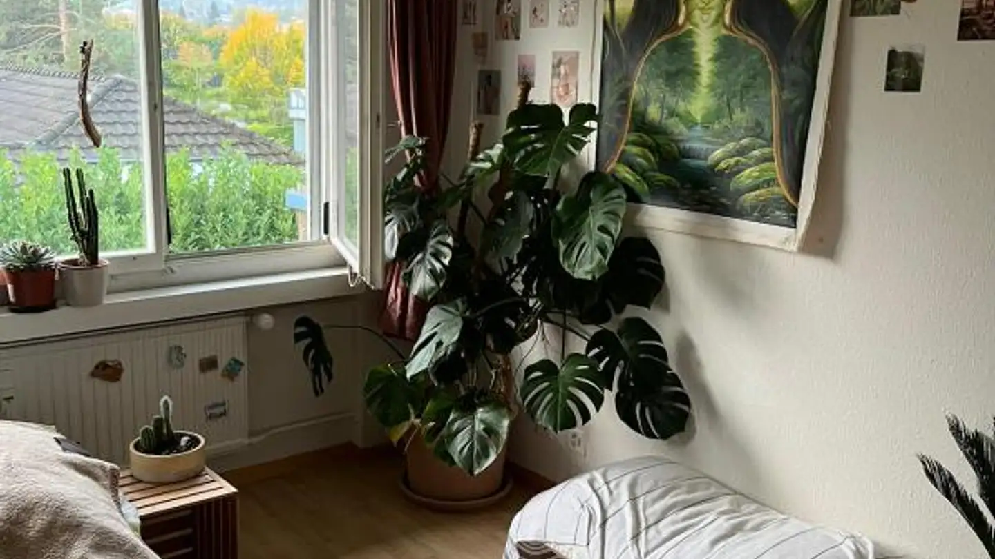 Appartamento in affitto - Ochsengartenstrasse 3, 8274 Tägerwilen - Photo 2