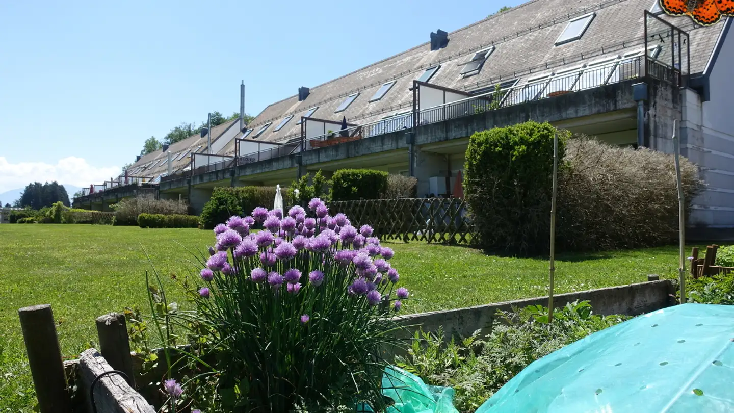 Apartment for rent - Route De Champ Thomas, 1618 Châtel-St-Denis