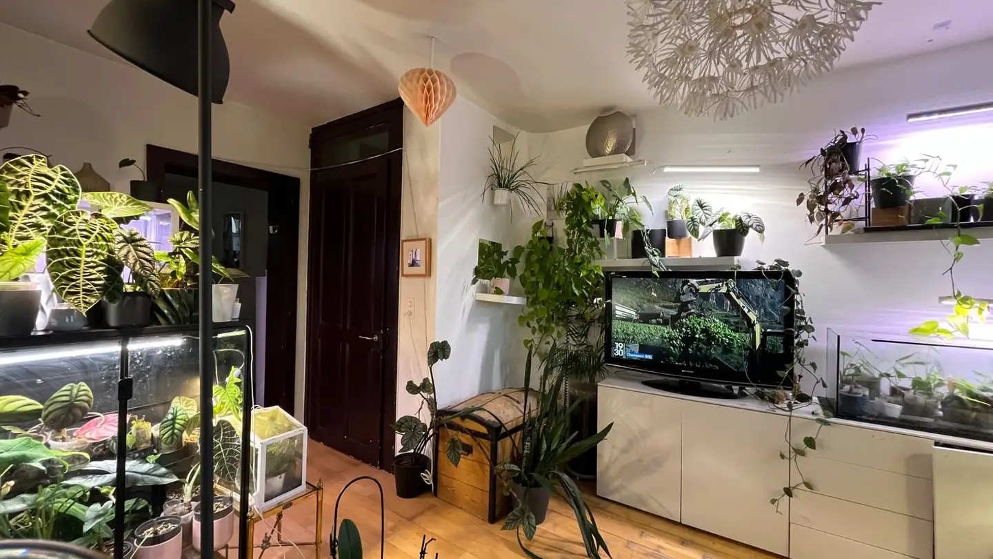 Apartment for rent - Rue Du Bourg 7, 1071 Chexbres - Photo 2