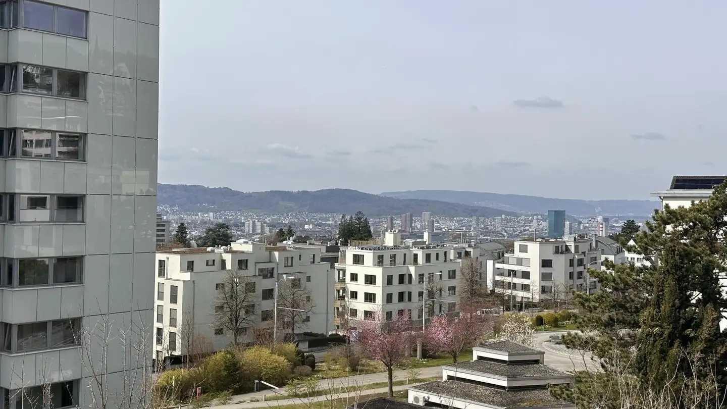 Studio in affitto - Restelbergstrasse 12, 8044 Zürich