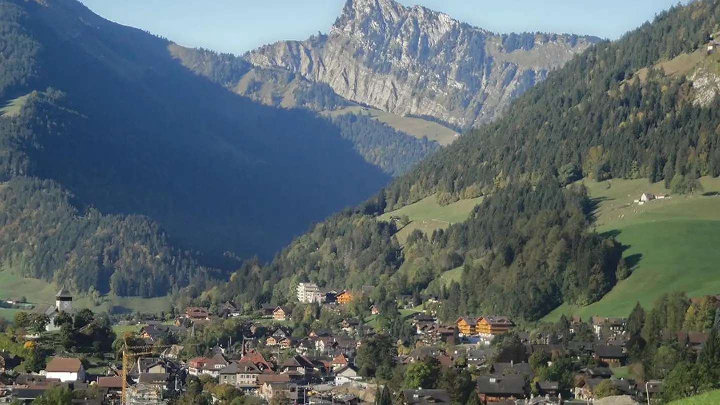 Einfamilienhaus kaufen - 1660 Château-d'Oex - Foto 2