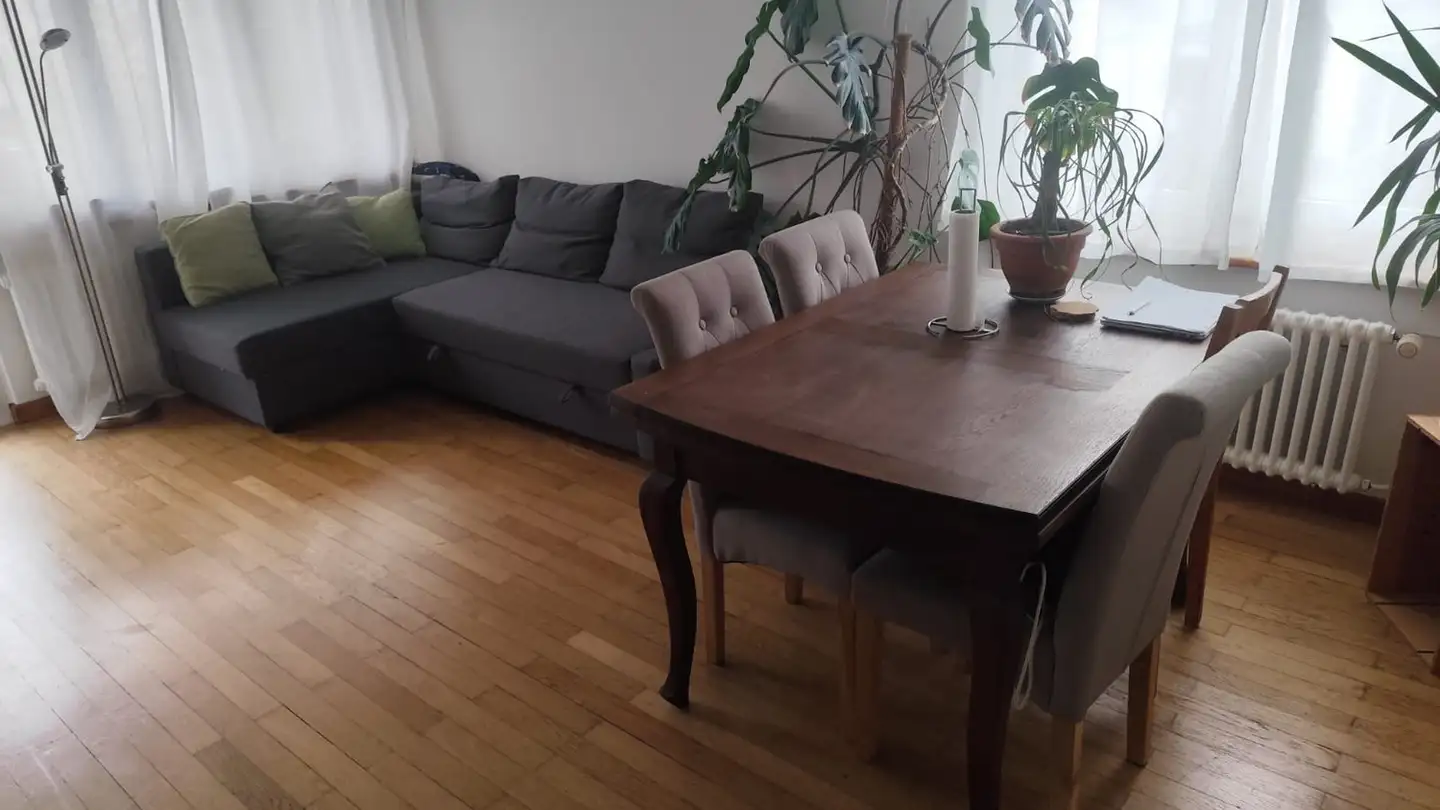 Wohnung mieten - Tiergartenstrasse 6, 5012 Schönenwerd