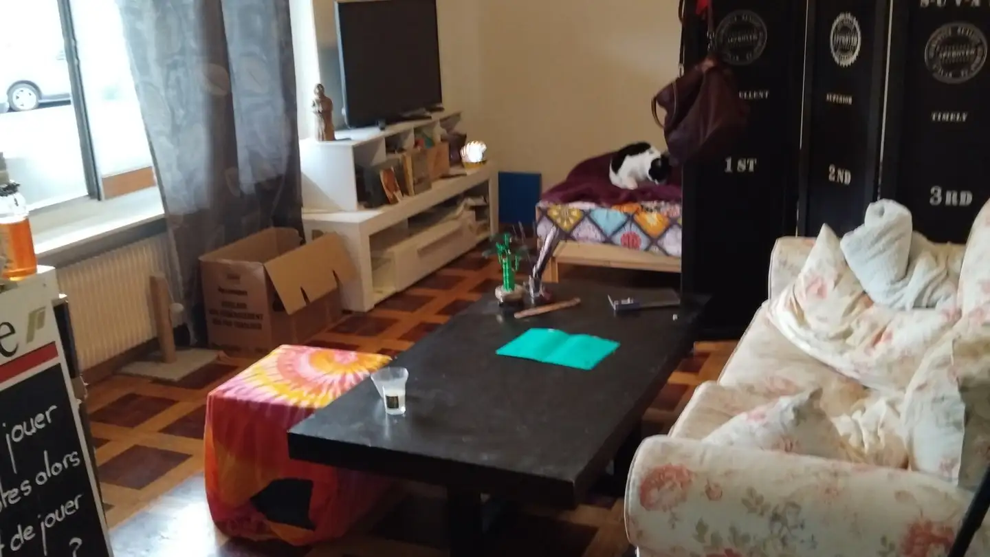 Appartement à louer - Avenue De Florimont 5, 1820 Montreux - Photo 4