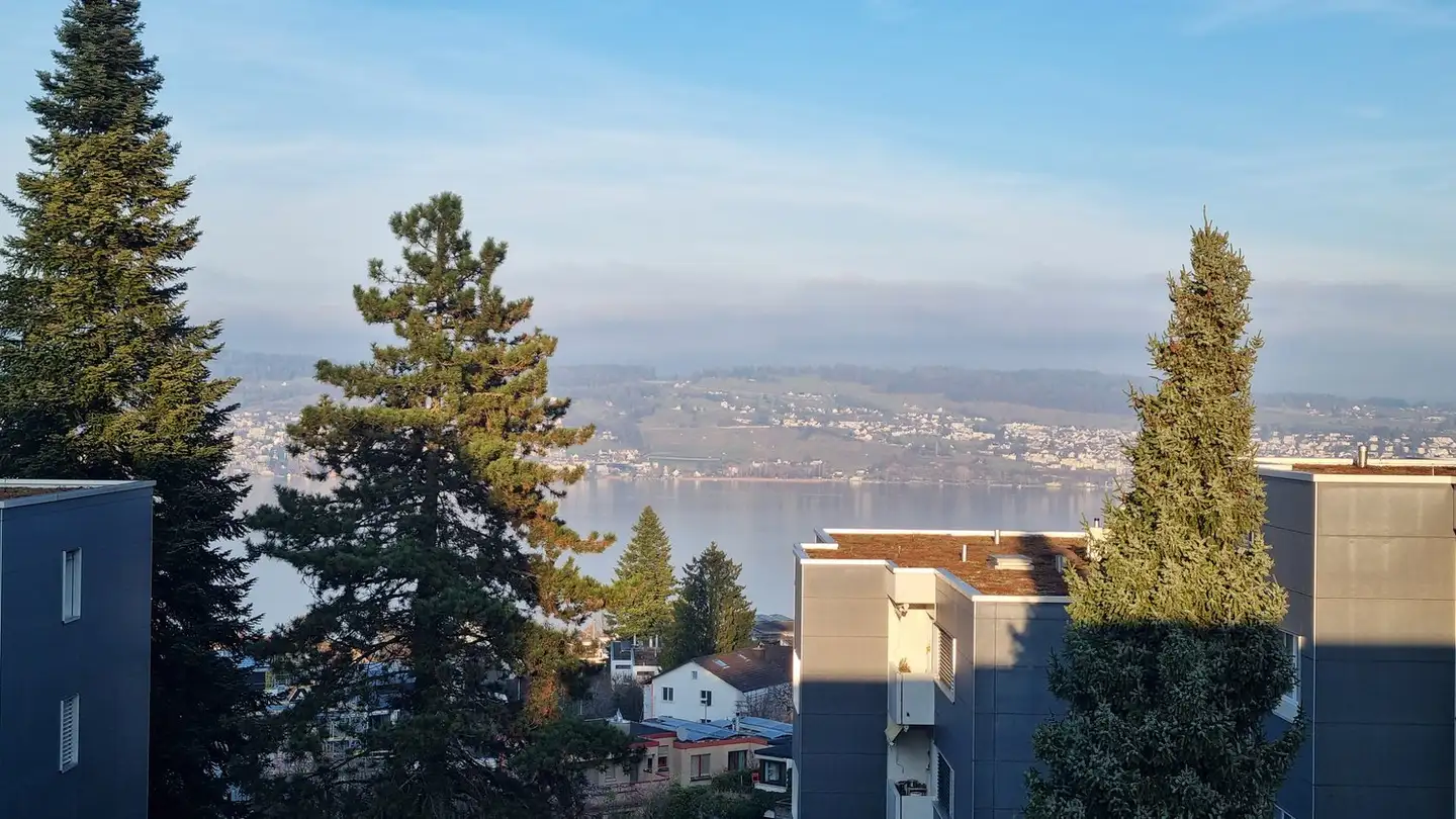 Appartement à louer - Walther-Hauser-Strasse 14, 8820 Wädenswil