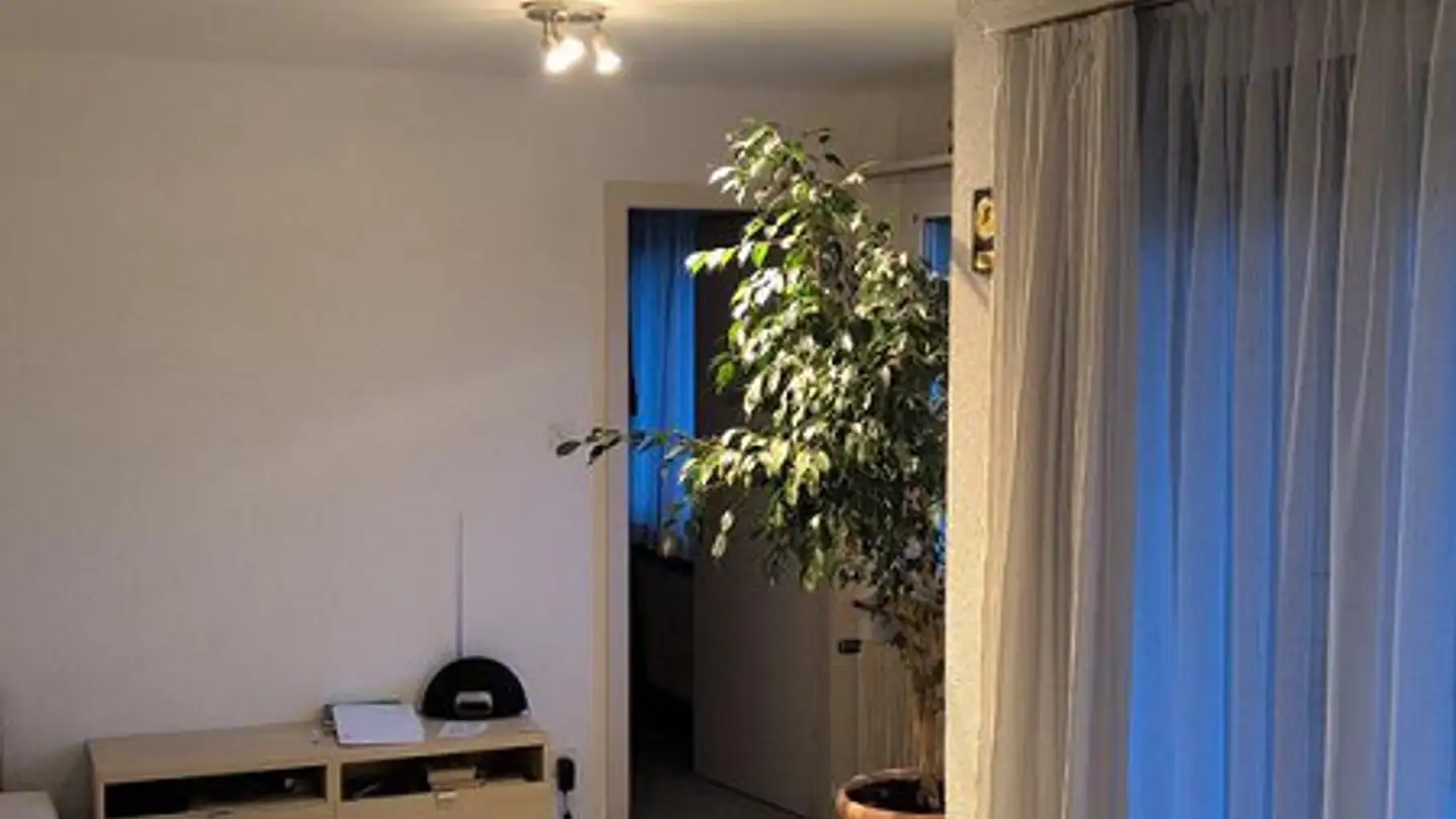 Wohnung mieten - Höhenstrasse 4, 9500 Wil SG - Foto 3