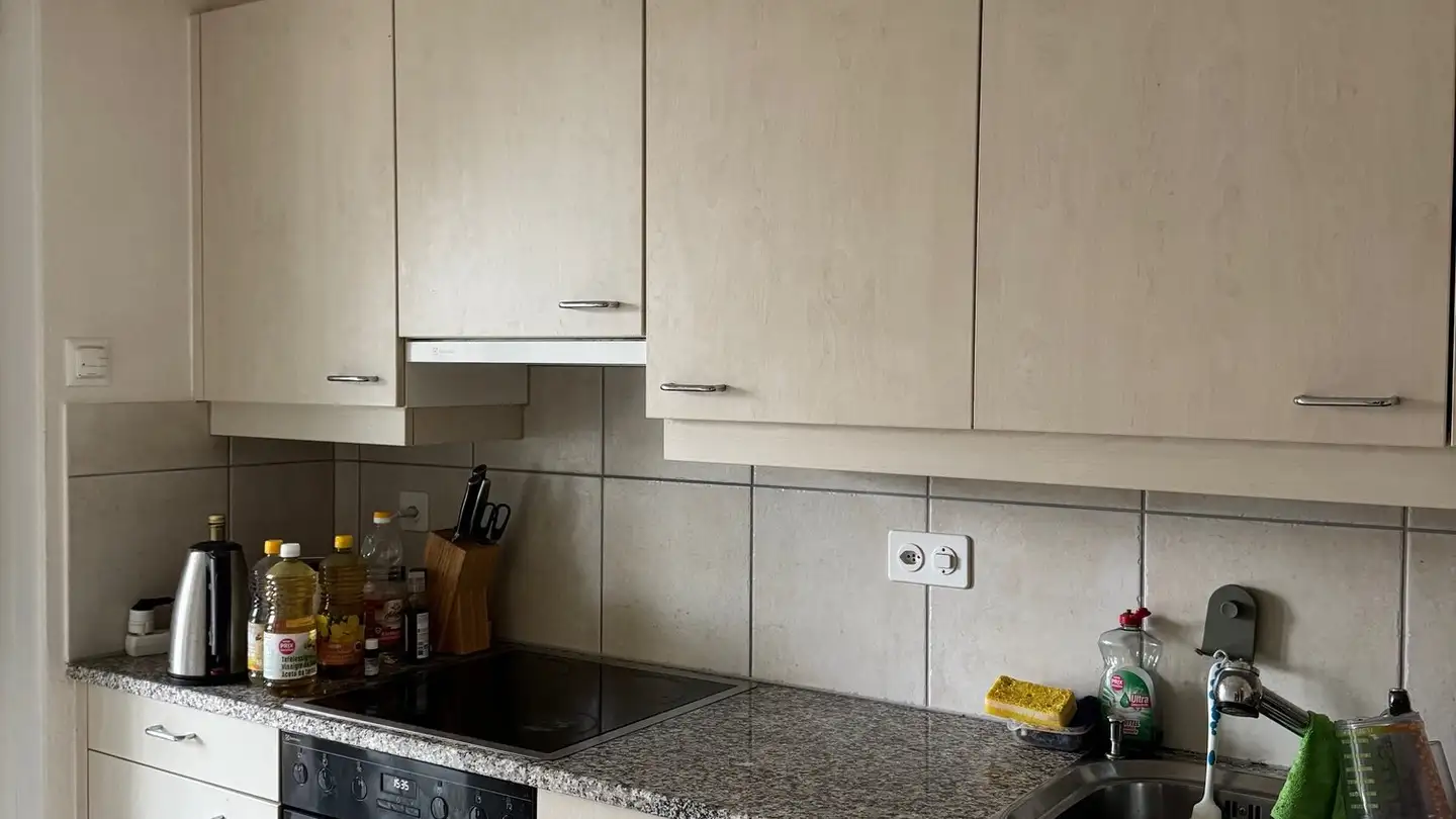 Appartement à louer - Rebackerweg 13, 8305 Dietlikon - Photo 3