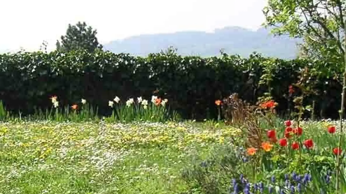 Casa singola in affitto - 8954 Geroldswil - Foto 3