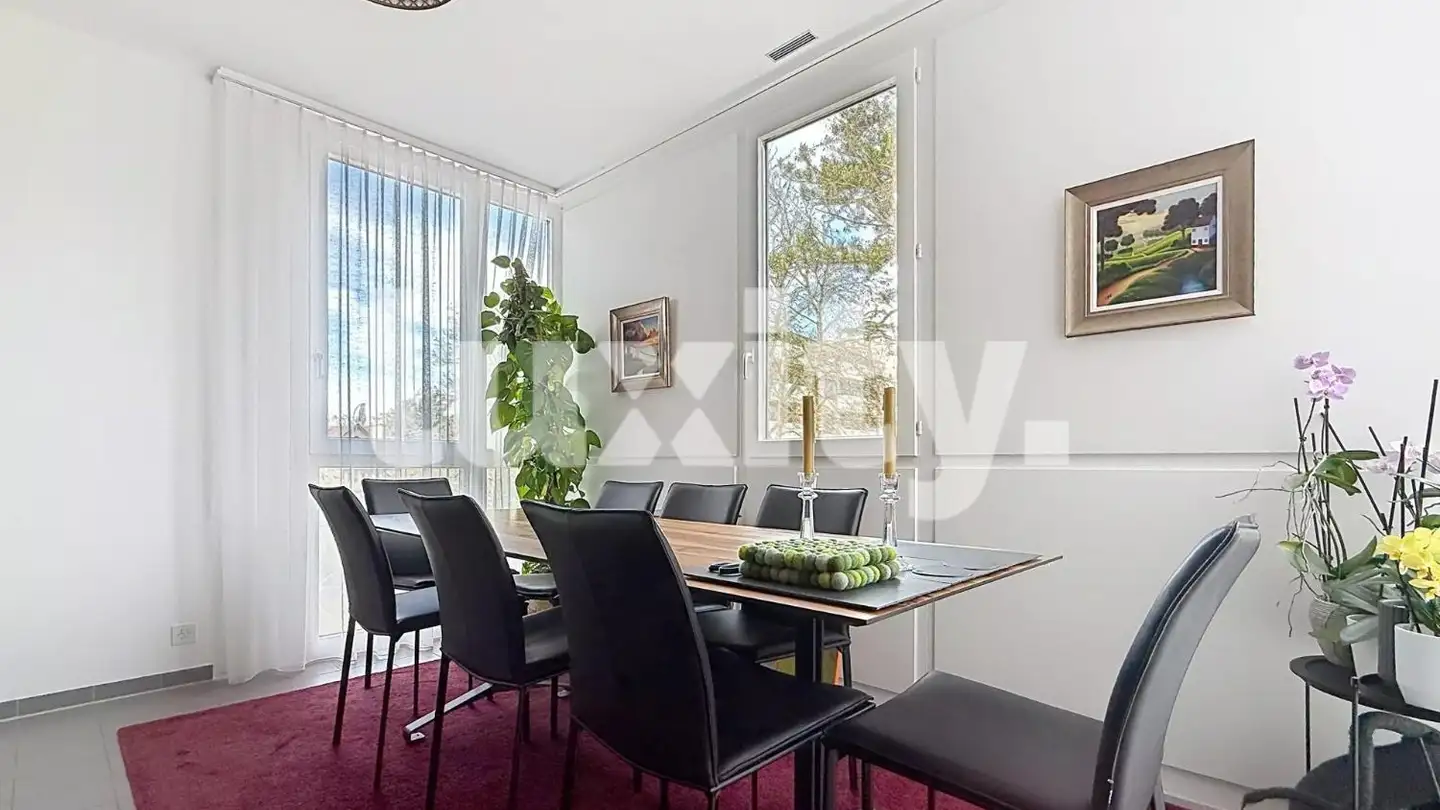 Appartamento in affitto - 1225 Chêne-Bourg