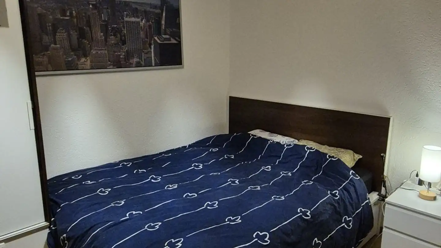 Stanza singola in affitto - Austrasse 43, 8045 Zürich