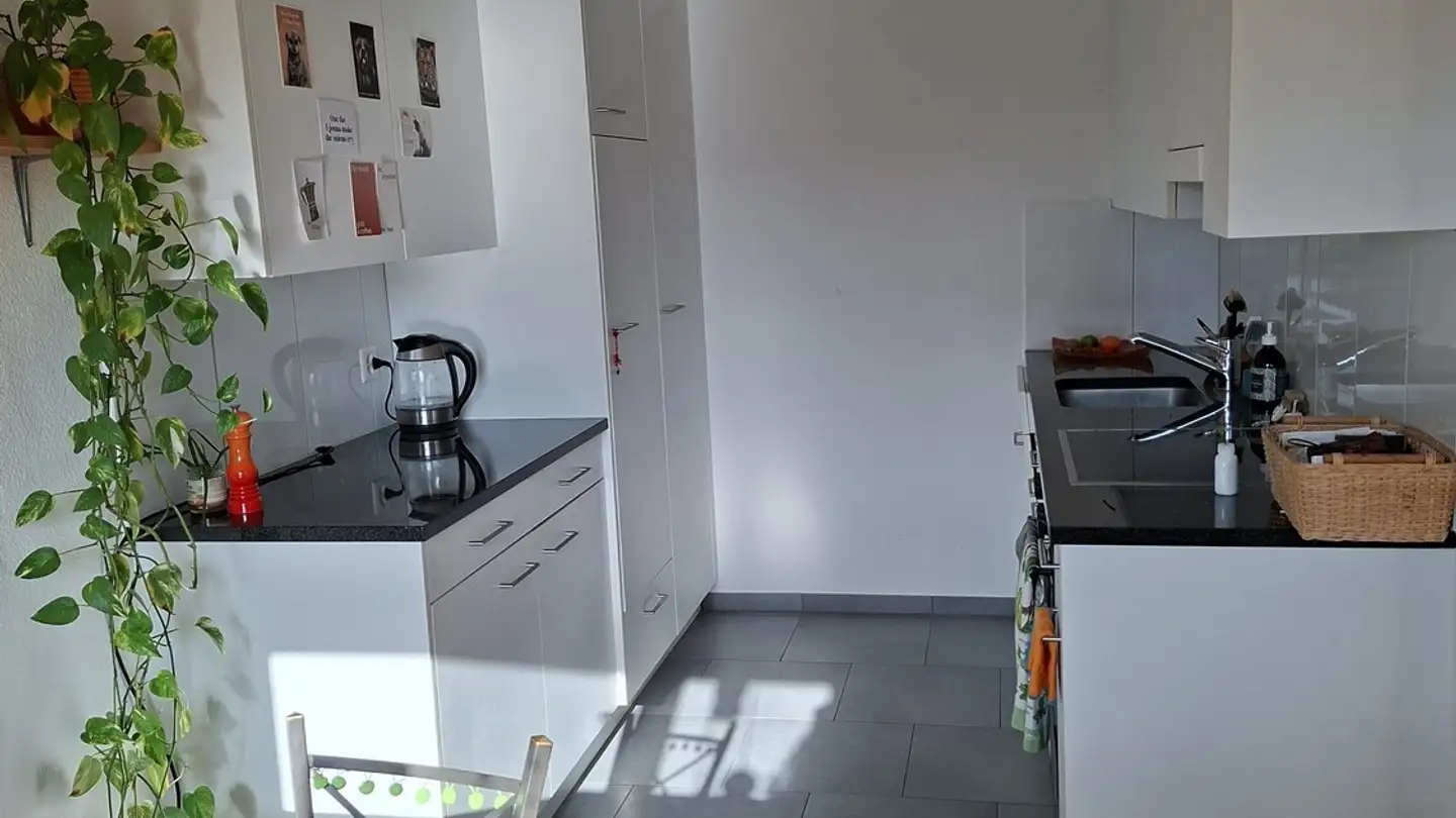 Appartamento in affitto - Heugatterstrasse 22, 8600 Dübendorf - Foto 3