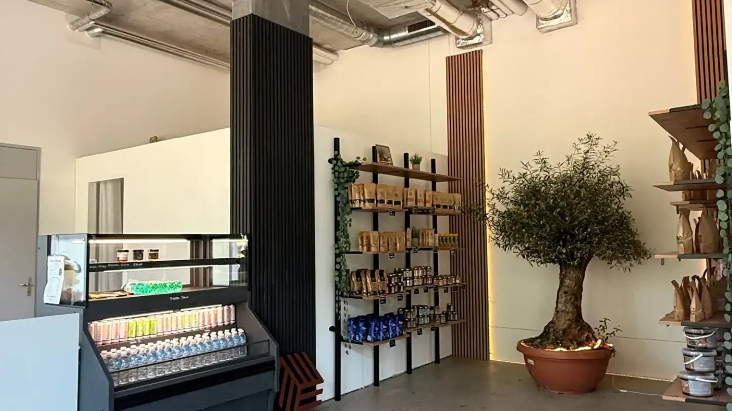 Geschäft mieten - Sulzerallee 76, 8404 Winterthur - Foto 2