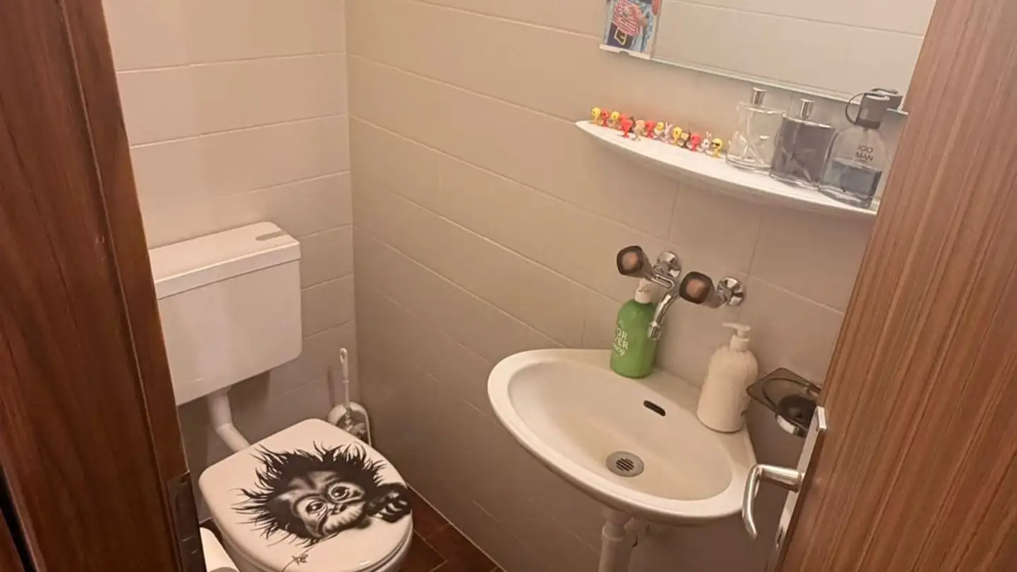 Wohnung mieten - Chemin Ami- Argand, 1290 Versoix - Foto 4