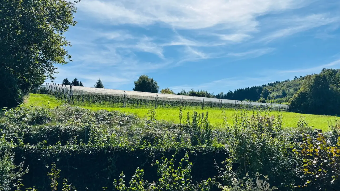 Appartamento in vendita - Riedmatte 19, 2576 Lüscherz - Photo 3