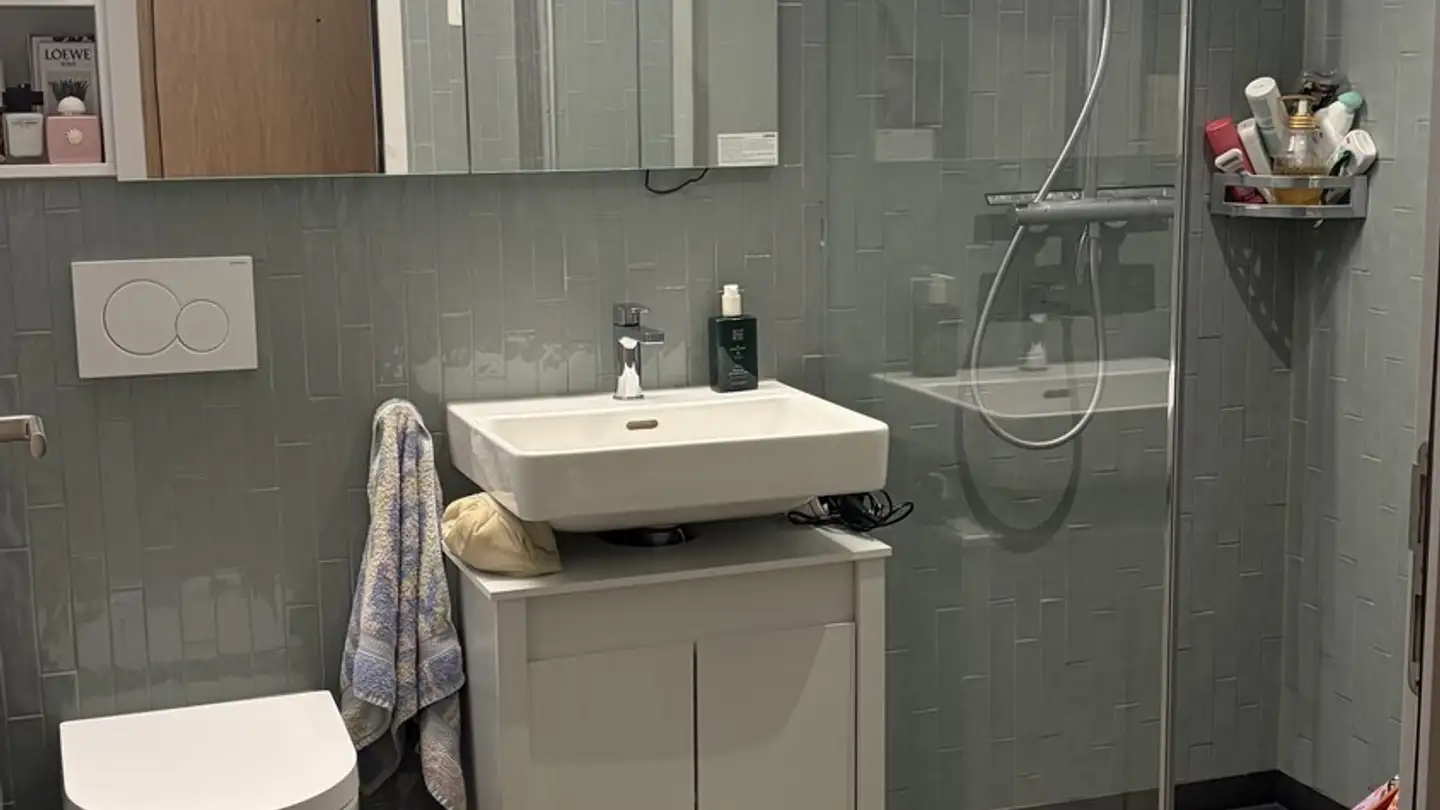 Wohnung mieten - Stettbacherrain 16, 8051 Zürich - Foto 3