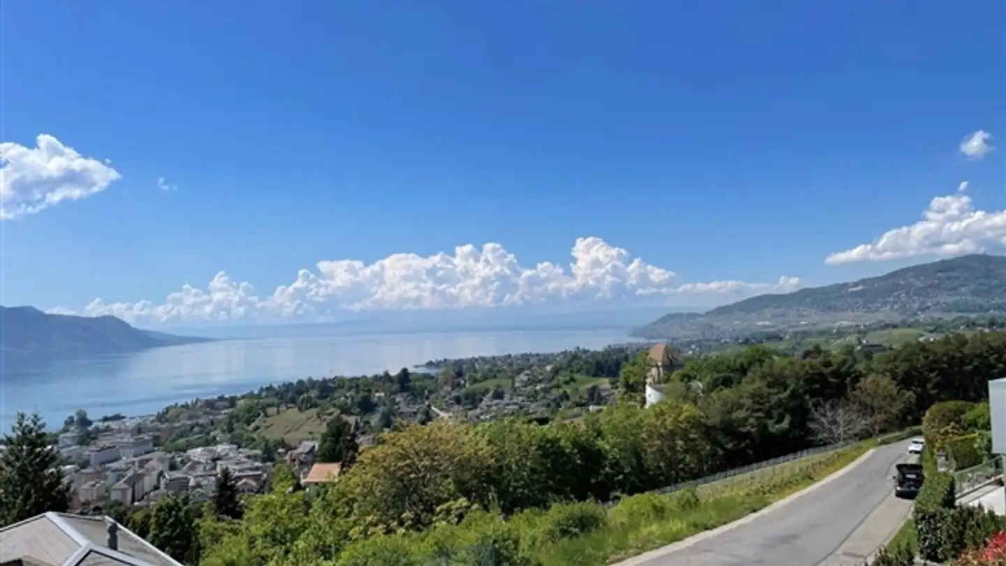 Wohnung kaufen - 1822 Chernex - Foto 3