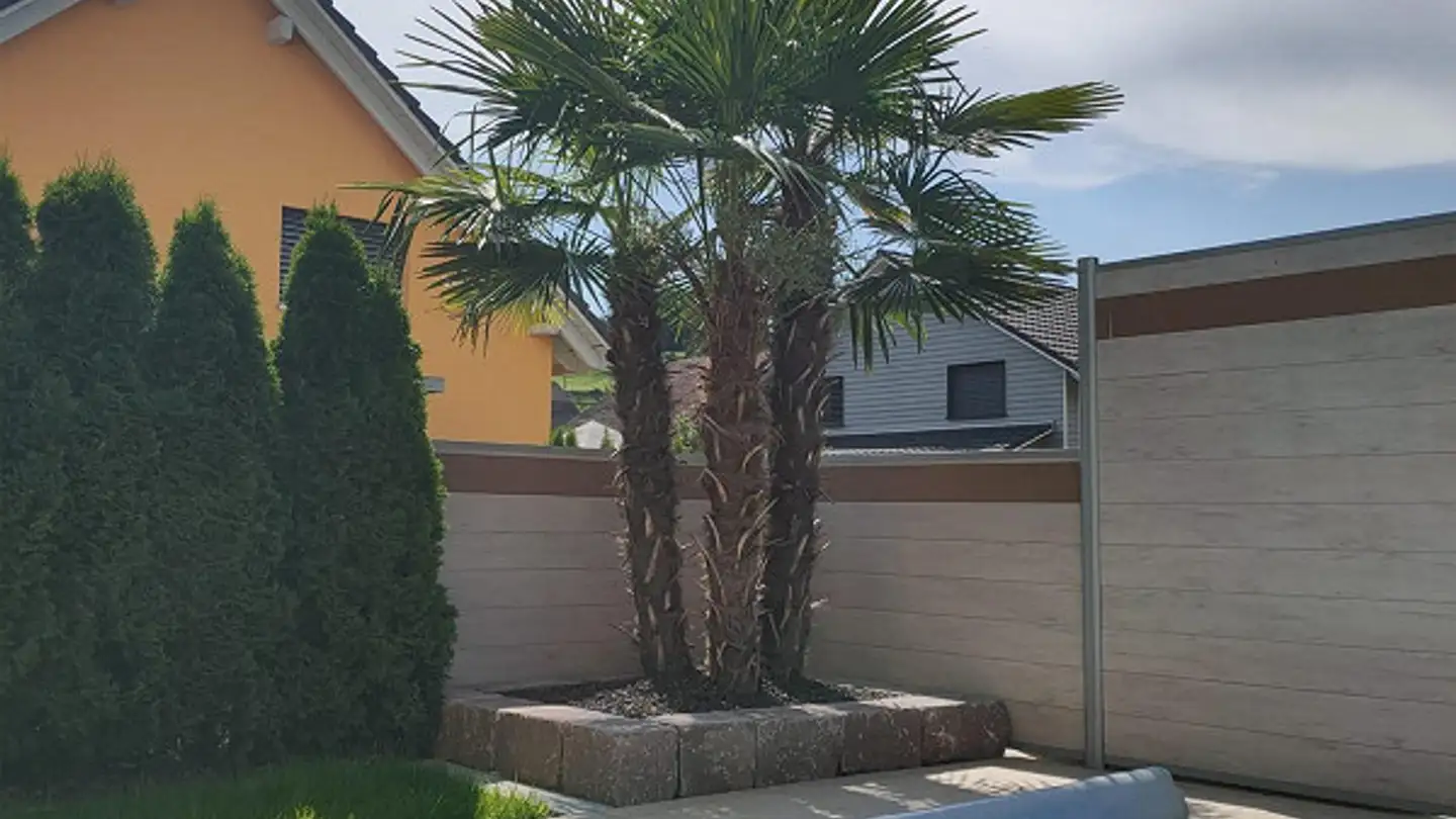 Single house for sale - Bachwiesenstrasse 8, 9565 Bussnang - Photo 4