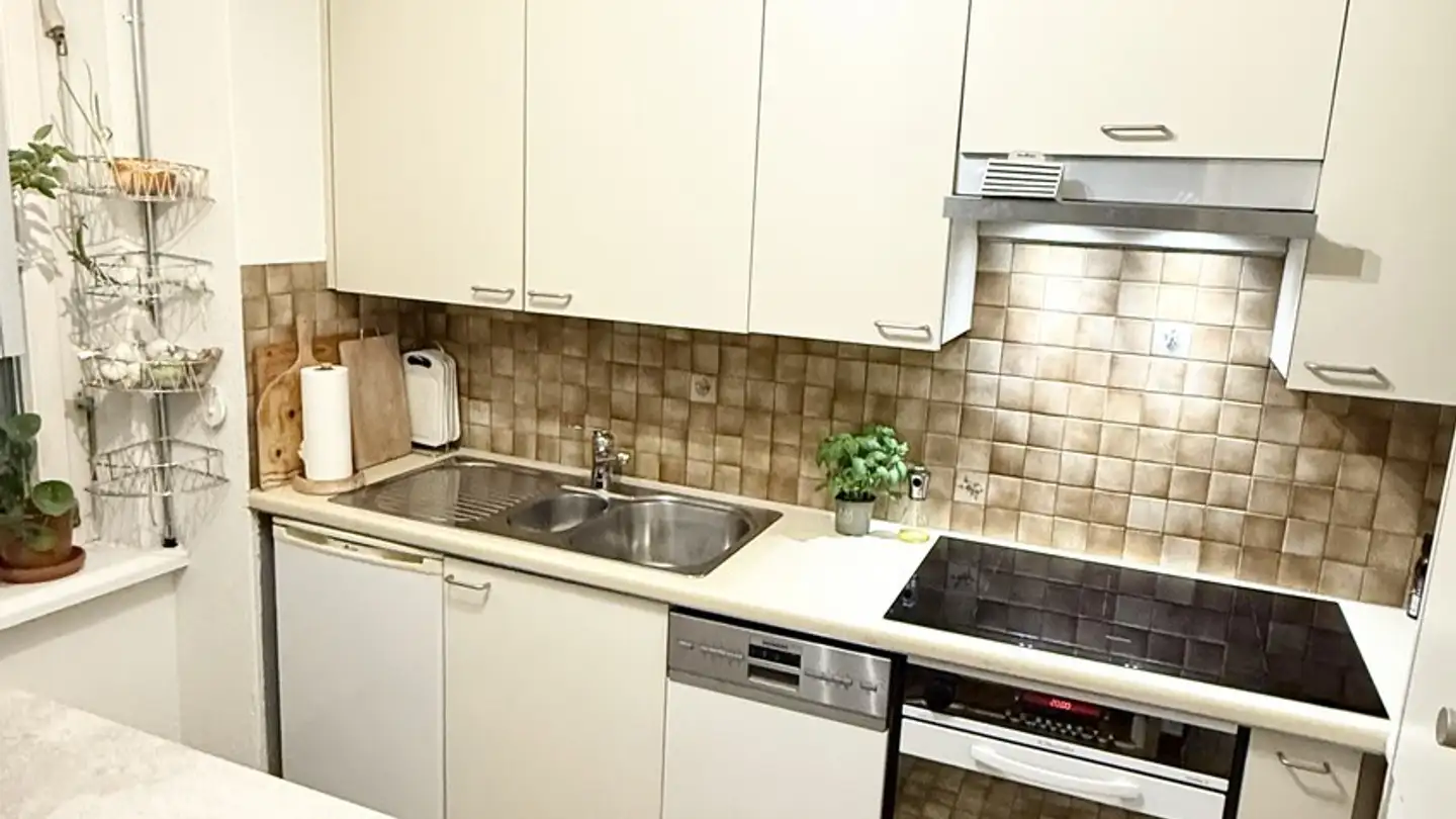 Appartement à louer - Etzelstrasse 33, 8820 Wädenswil - Photo 3