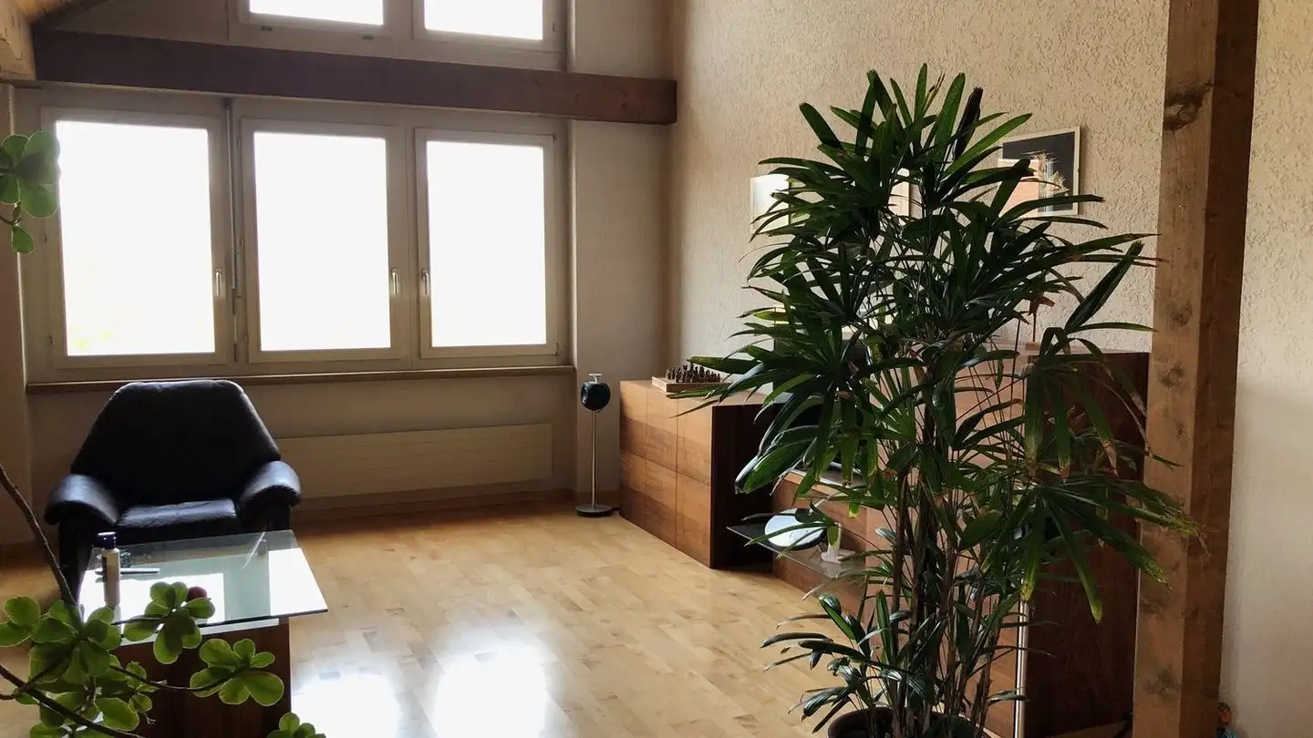 Appartamento in affitto - Schützenhausstrasse 113, 8424 Embrach