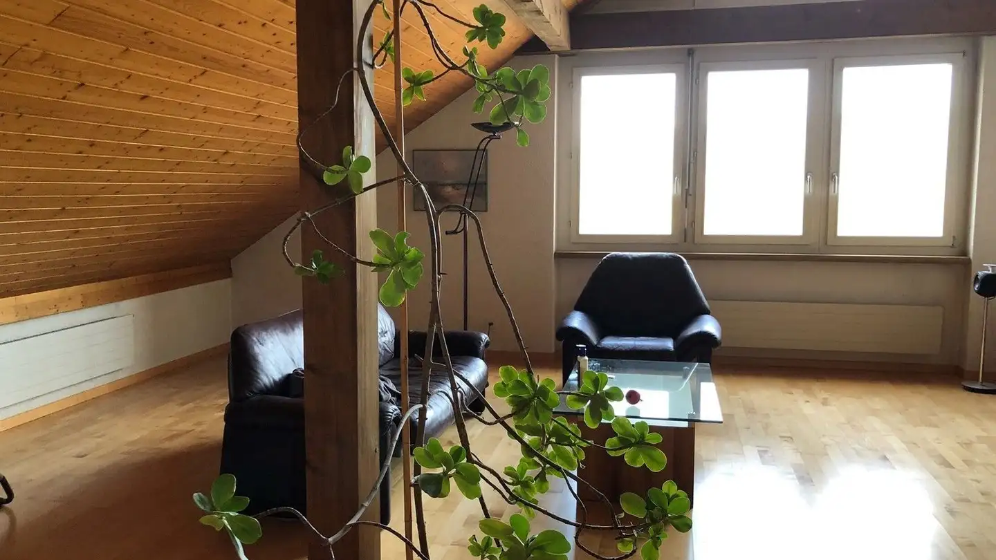 Appartamento in affitto - Schützenhausstrasse 113, 8424 Embrach - Foto 4