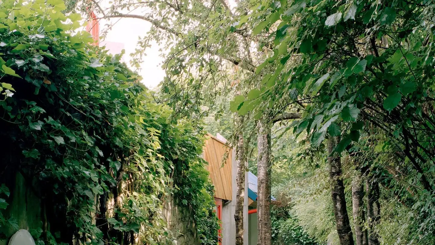 Casa singola in affitto - Waltersgrabenweg 23, 4125 Riehen - Photo 4