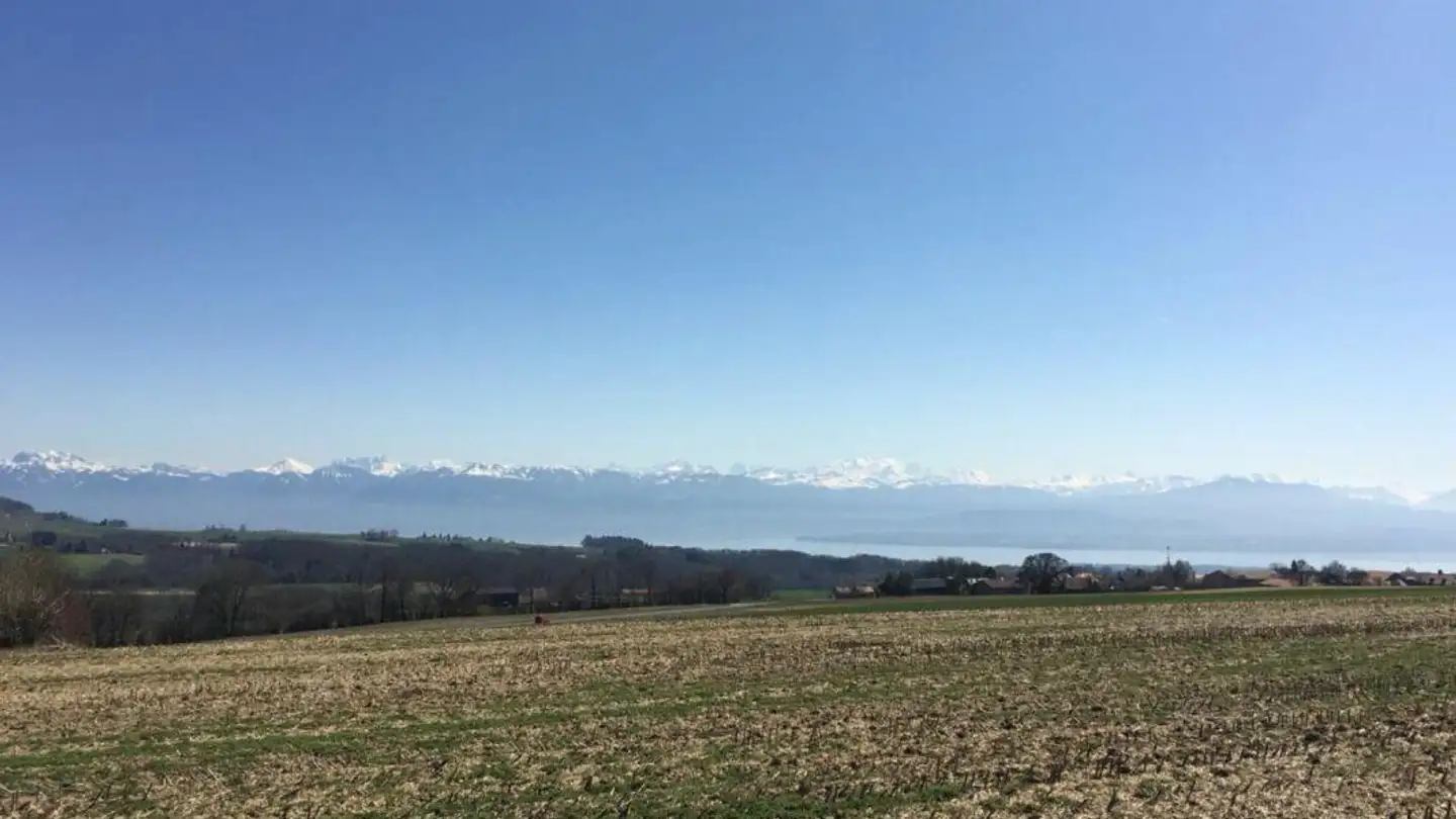 Maison individuelle à vendre - 1269 Bassins - Photo 3