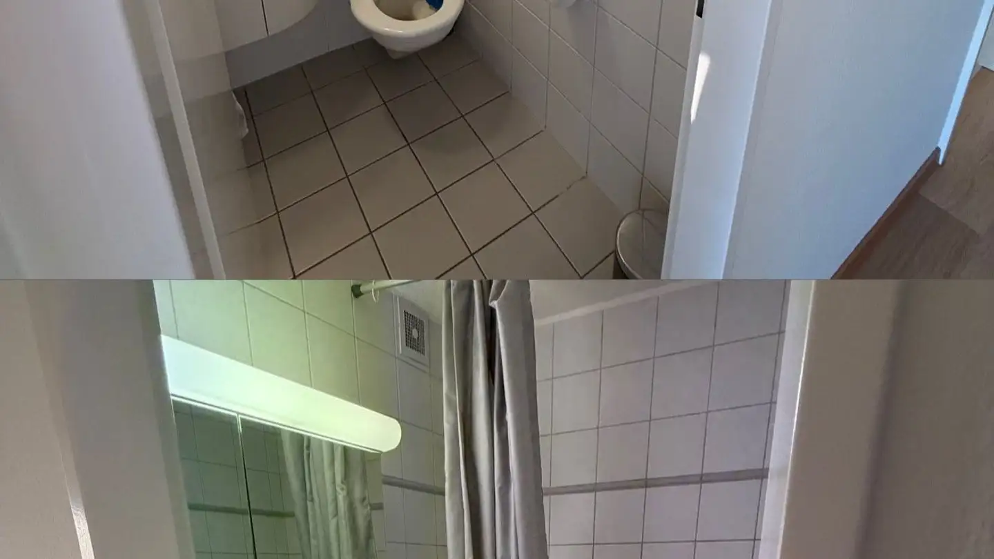 Appartamento in affitto - Adlibogenstrasse 45, 8155 Niederhasli - Foto 3